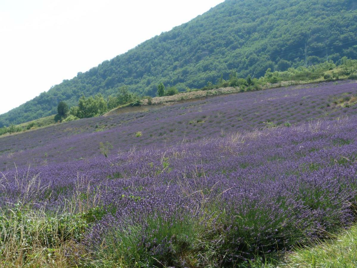 Pierrelongue La Clairiereヴィラ エクステリア 写真